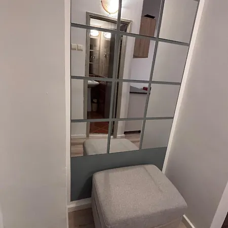 Apartment Lions Studio Dristor Bucharest