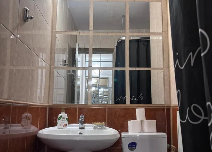 Lions Dristor Апартаменти Бухарест