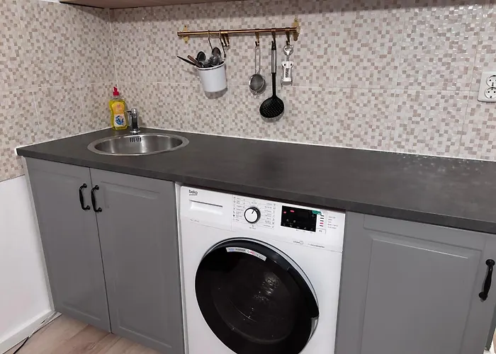 Lions Dristor * Бухарест